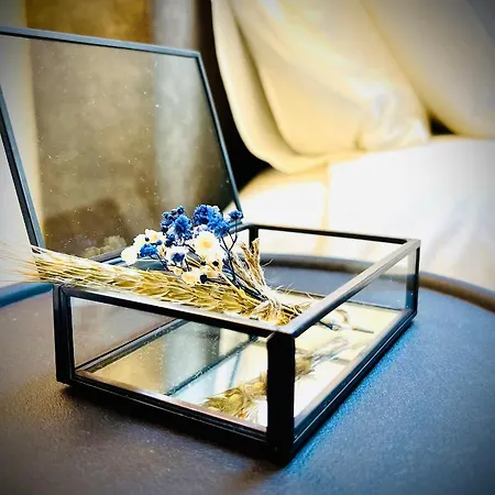 Bed & Breakfast Lucentum 4*