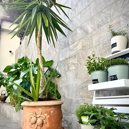 Bed & Breakfast Lucentum Prato (Prato)