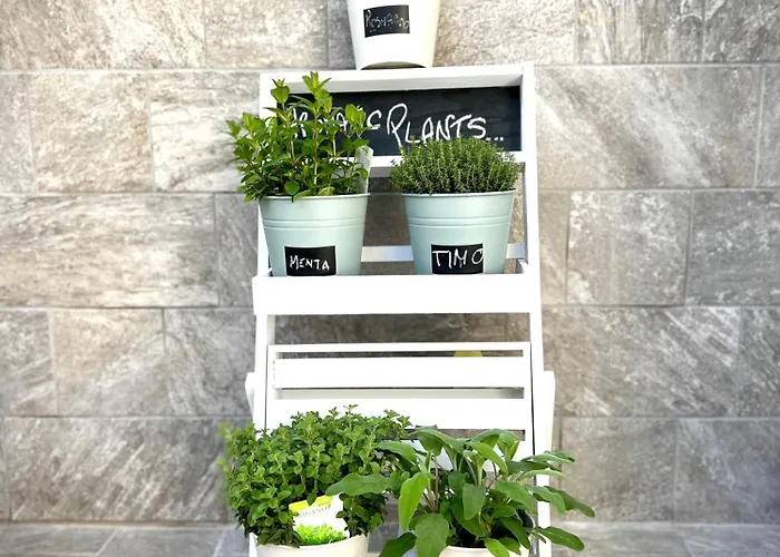 Lucentum 4* プラート